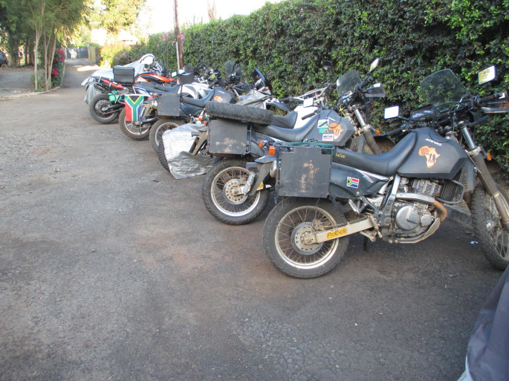 Bikes lined up at Jungle Junction