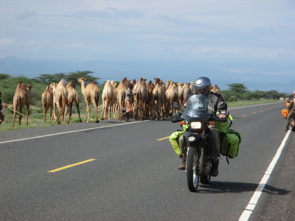 Our first camel sighting, northern Kenya