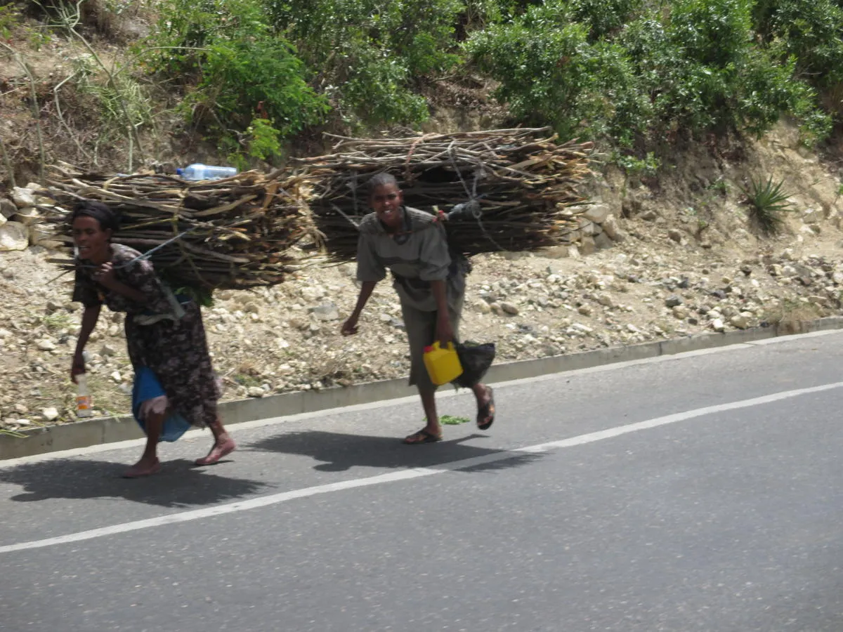 It’s not an easy life in Ethiopia for donkeys and women.